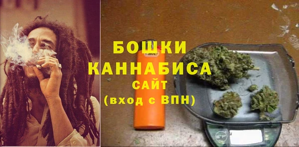 амф Няндома