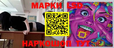 гашик Камышлов
