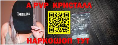 гашик Камышлов