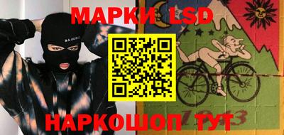 гашик Камышлов