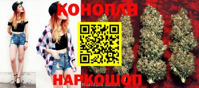 гашик Камышлов