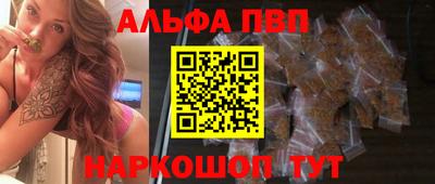 гашик Камышлов