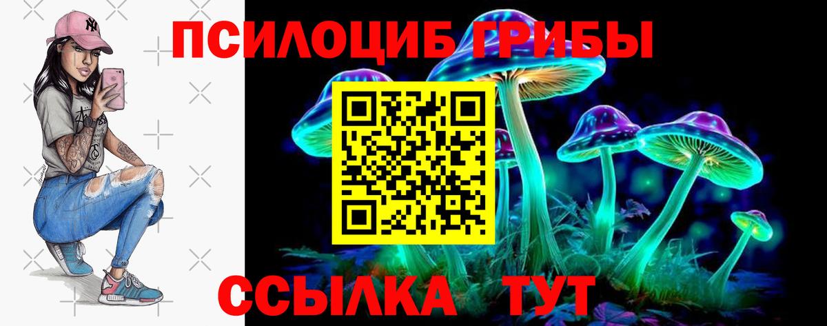 Псилоцибиновые грибы Magic Shrooms  Псилоцибиновые грибы GOLDEN TEACHER  Семилуки  как найти наркотики  Вход с VPN 