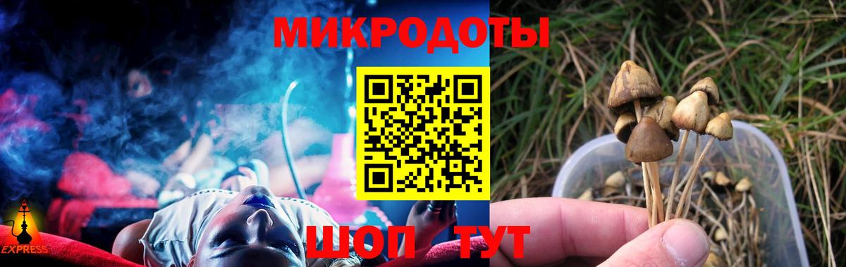 Галлюциногенные грибы прущие грибы Семилуки